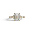 2.5 Carat Lab Grown Diamond Engagement Ring · Emerald Cut Nature-Inspired | Verona - view 1