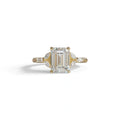 2.5 Carat Lab Grown Diamond Engagement Ring · Emerald Cut Nature-Inspired | Verona - view 1