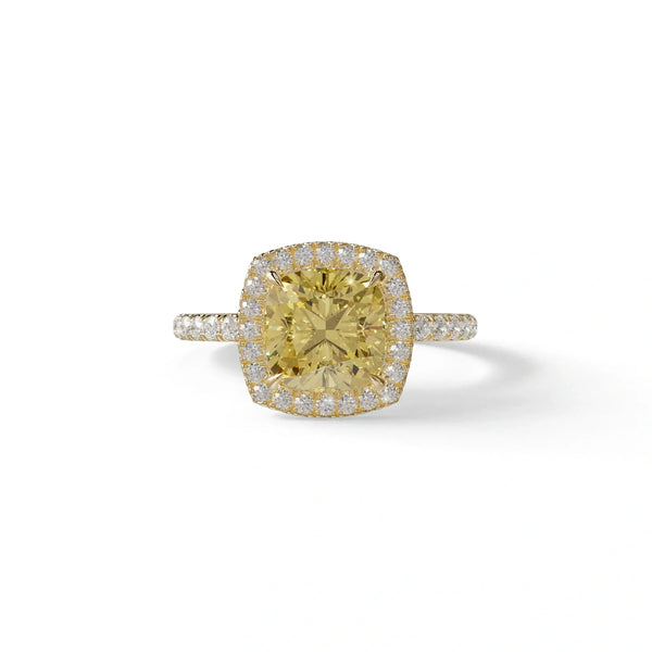 2 to 5 Carat Yellow Lab Grown Diamond Engagement Ring – Cushion Cut Halo & Pavé | Rosa