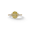 2.5 Carat Yellow Lab Grown Diamond Engagement Ring · Oval Cut Nature-Inspired | Halcyon - view 1