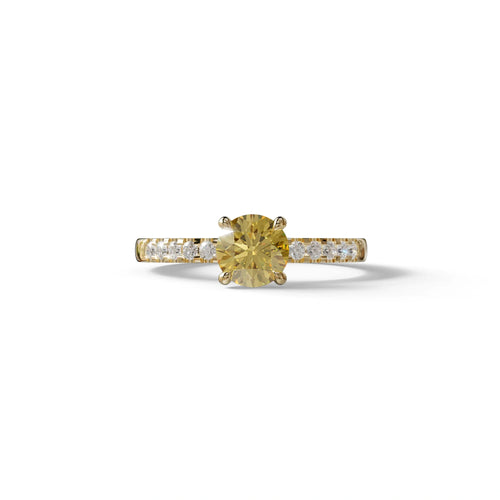 Yellow Round Pave Set Minimalist Engagement Ring - Nova Signature - 1.5 Carat / 10K Solid Gold / Yellow Gold