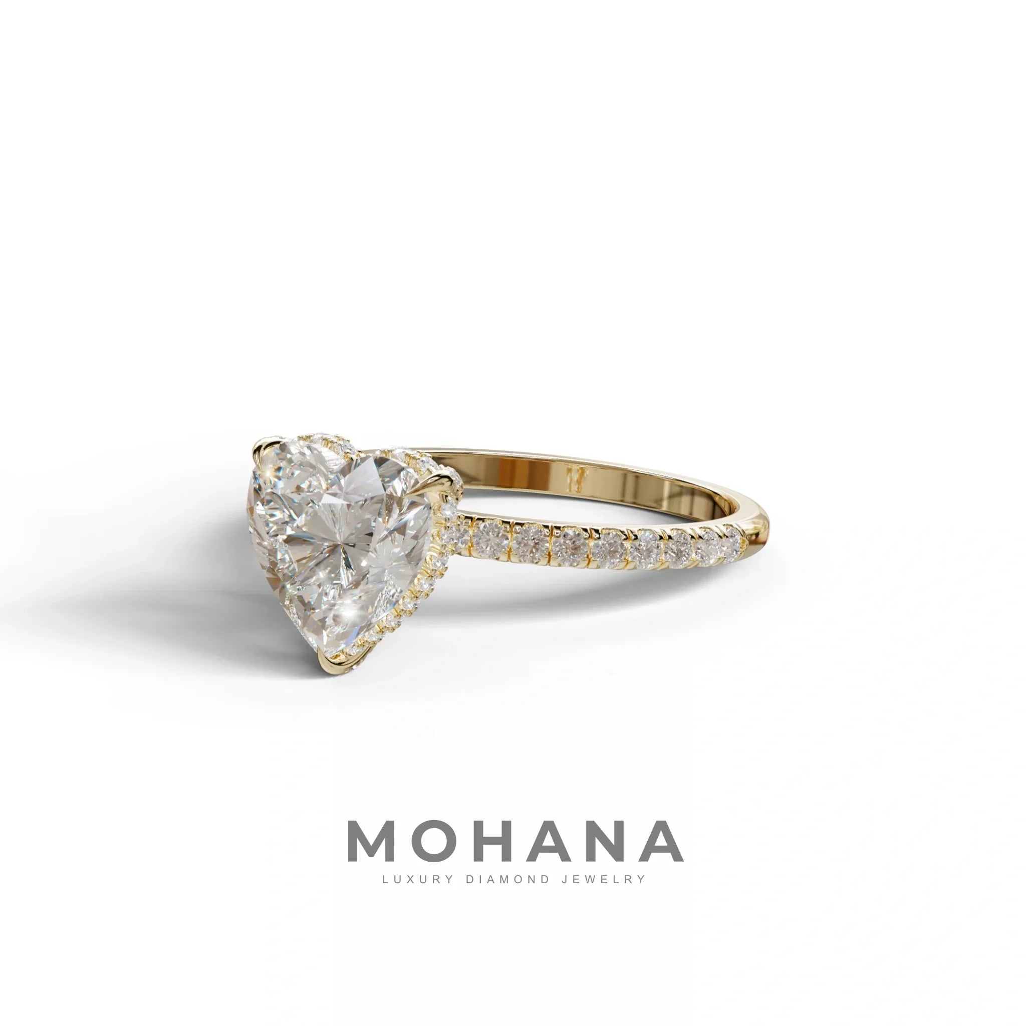 E/VVS 3 Carat Heart Cut Hidden Halo & Pavé Setting Engagement Ring