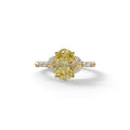 2.5 Carat Yellow Lab Grown Diamond Engagement Ring · Oval Cut Nature-Inspired | Halcyon - view 1