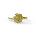 3 Carat Round Yellow Hidden Halo Lab Diamond Ring - Luxe Cercle - 10K Solid Gold / Yellow Gold
