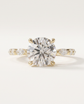 1 to 3 Carat Lab Grown Diamond Engagement Ring – Round Cut Hidden Halo | Lucienne
